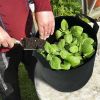 3 Pack Plant Grow Bags Potato Vegetable Planter Bags Breathable Planting Fabric Pots 7Gallons