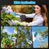 2-In-1 Electric Pruning Shear With Extension Pole 21V 4.0Ah Batteries Powered Cordless Pruner Reach 13Ft High 0.98In Cutting Diameter For Tree Trimmin