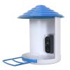 Smart Bird Feeder With Solar Powered Camera 1080P Hd Ai Identify Pir Motion Auto Capture Video Cloud Card Storage Wifi Connection App Control Ip65 Wat