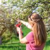 21V Cordless Electric Pruning Shears 40Mm 1.57" Electric Branch Scissors Tree Branch Cutter With 2 Rechargeable Batteries Sharpening Stone Blade Repla