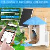 Solar Powered Smart Bird Feeder 2K Bird Watching Camera With Pir Motion Ai Birds Species Identify Two-Way Audio Real-Time App Notification Capture Vid