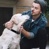 Dog Training Collar Ip67 Waterproof Rechargeable Dog Shock Collar W/ 1640Ft Remote Range Beep Vibration Shock 3 Training Modes