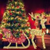 Lighted Christmas Reindeer & Sleigh Indoor Outdoor Christmas Decoration Christmas Lighted Display With 8 Lighting Modes