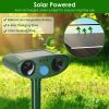 Solar Ultrasonic Animal Repeller Pir Motion Sensor Animal Repellent Chaser Ipx4 Waterproof For Farm Garden Yard To Drive Raccoon Squirrel Rat Skunk Ra