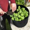3 Pack Plant Grow Bags Potato Vegetable Planter Bags Breathable Planting Fabric Pots 10Gallons