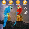 Solar Powered Parrot Garden Light Ip65 Waterproof Led Parrot Landscape Lamp Decorative Lawn Lights For Yard Driveway Walkway Patio