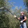 2-In-1 Cordless Pole Saw & Mini Chainsaw Electric Mini Chainsaw Length Adjustable Cordless Chain Saw With 2Pcs 3000Mah Batteries 4In/6In Chains For Tr