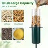 Large Capacity Standing Bird Feeder Squirrel-Proof