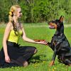Dog Bark Collar Ip67 Waterproof Rechargeable Dog Training Receiver Shock Collar Receiver With Beep Vibration Shock 9 Levels 1640Ft Remote Range