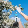 2-In-1 Electric Pruning Shear With Extension Pole 21V 4.0Ah Batteries Powered Cordless Pruner Reach 13Ft High 0.98In Cutting Diameter For Tree Trimmin