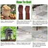 Humane Cat Trap Cage With Gloves Catch Release Live Animal Rodent Cage Collapsible Galvanized Wire For Raccoons Beavers Groundhogs Foxes Armadillos