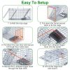 2Pcs 18X8X10In Humane Single Door Live Animal Trap Collapsible Galvanized Iron Animal Cage Catch And Release For Small Squirrel Raccoon Feral Cat Weas