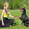 Dog Training Collar Ipx7 Waterproof Pet Beep Vibration Electric Shock Collar Rechargeable Transmitter Receiver Trainer W/ Remote