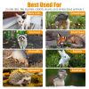 Humane Cat Trap Cage Catch Release Live Animal Rodent Cage Collapsible Galvanized Wire For Small Raccoons Beavers Groundhogs Foxes Armadillos