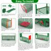 40In 2 Door Live Animal Cage Trap For Animals Under 18Lbs Easy To Setup Humane Galvanized Iron Trap Cage For Raccoons Armadillos Foxes Opossums Muskra