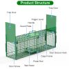 40In 2 Door Live Animal Cage Trap For Animals Under 18Lbs Easy To Setup Humane Galvanized Iron Trap Cage For Raccoons Armadillos Foxes Opossums Muskra