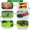 26In Single Door Live Animal Cage Trap For Animals Under 5Lbs Easy To Setup Humane Galvanized Iron Trap Cage For Small Cats Rabbits Squirrels Moles Ch