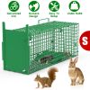 26In Single Door Live Animal Cage Trap For Animals Under 5Lbs Easy To Setup Humane Galvanized Iron Trap Cage For Small Cats Rabbits Squirrels Moles Ch