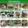 40In 2 Door Live Animal Cage Trap For Animals Under 18Lbs Easy To Setup Humane Galvanized Iron Trap Cage For Raccoons Armadillos Foxes Opossums Muskra