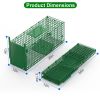 26In Single Door Live Animal Cage Trap For Animals Under 5Lbs Easy To Setup Humane Galvanized Iron Trap Cage For Small Cats Rabbits Squirrels Moles Ch
