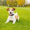 990Ft Radius Dog Training Collar Wireless Fence Ipx6 Waterproof Pet Beep Vibration Electric Shock Fence System 3 Channels Rechargeable Transmitter Rec