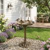 Bird Bath with Base for Outdoor Backyard/Lawn