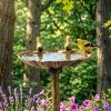 Bird Bath with Base for Outdoor Backyard/Lawn