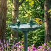 Bird Bath with Base for Outdoor Backyard/Lawn