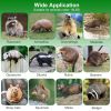 40In 2 Door Live Animal Cage Trap For Animals Under 18Lbs Easy To Setup Humane Galvanized Iron Trap Cage For Raccoons Armadillos Foxes Opossums Muskra